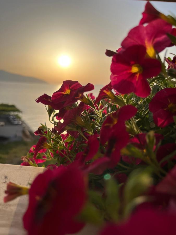 Lotus Apartments Vlore Exterior photo